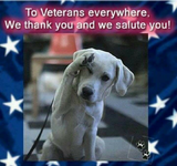 Veterans_Thank_you_salute.png