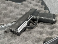 P365X-1.jpg
