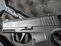 P365X-3.jpg