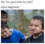 Asian Neighbors.png
