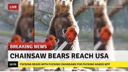 Chainsaw bears.png