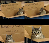 Reserved seating.PNG
