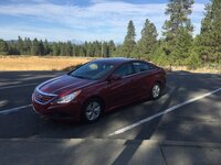 Sonata02.JPG