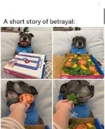 Betrayal_A Short Story.jpeg