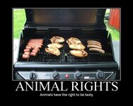animalrights-500x400.jpg