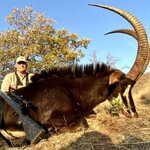Sable (3).jpg