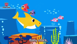 baby-shark-fish.gif