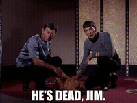 Hes-Dead-Jim.gif