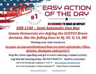 2023 EAOD 7 Senate SHB1240 semi auto ban.jpg