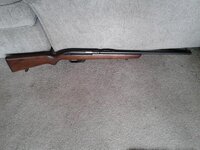Winchester model 77.JPG