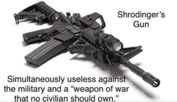shrodingers-gun.png