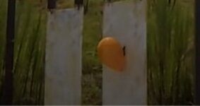 Balloon01.jpg