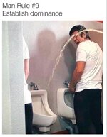 6433d79b7af5f.jpeg.jpg