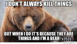 Bears Kill Things.jpg