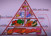 Food Pyramid Fixed.jpg