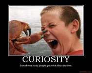 curiosity-curiosity-nosy-demotivational-poster-1244873908.jpg