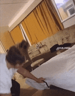 tent%2Fuploads%2F2023%2F07%2Fdaily_gifdump_4416_03.gif