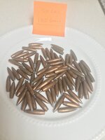 30 Cal 180 gr Projectiles QTY 79.jpg