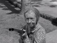 Granny With Shotgun.jpg