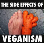 Veganism.png