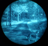 dog-viewed-through-night-vision-goggles.jpg