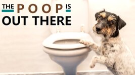 THE POOP IS OUT THERE DOGGY.jpg