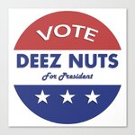 deez-nuts-for-president-s0h-canvas.jpg