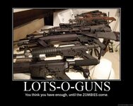 lots_o_guns.jpg