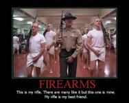 firearms_poster.jpg