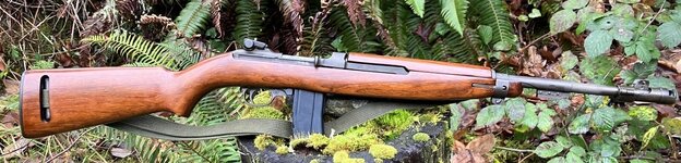 M2.jpg