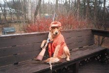 52020d1256941065-hunting-season-right-around-corner-redneck_hunting_dog.jpg
