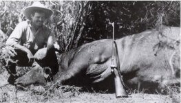 Hemingway-buffalo-082819.jpg