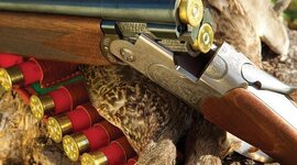 duck-hunting-shotgun.jpg
