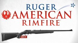 ruger-american-rimfire_zpsfa41d7a6.jpg