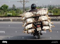 man-carrying-chicken-cages-on-bike-vietnam-B23D62.jpg