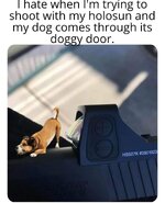 doggydoor.jpg