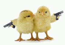 chicksguns.jpg