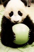 200.gif