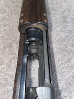 IMG_1230.jpeg
