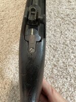IMG_1226.jpeg