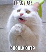 IMG_2037.jpeg