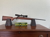 IMG_9798.jpeg