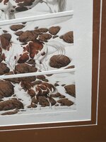 IMG_8736.jpeg