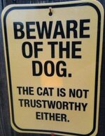 beware-of-dog-cat-not-trustworthy-either.jpg