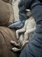 IMG_0956.jpeg