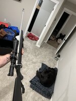 IMG_2403.jpeg