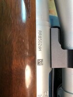 IMG_4245.jpeg