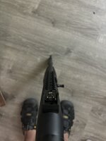 IMG_2279.jpeg