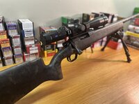 IMG_4334.jpeg