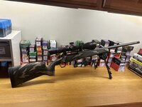 IMG_4336.jpeg